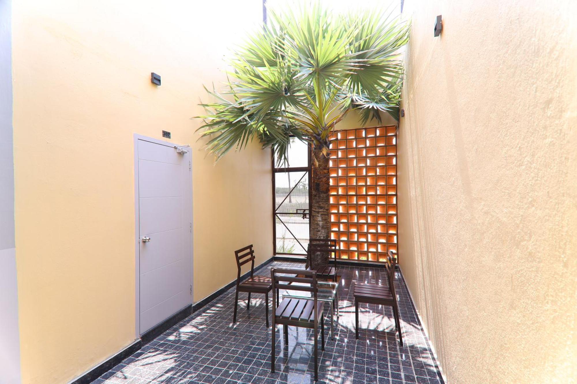 La Palmera ذوثوكدي المظهر الخارجي الصورة